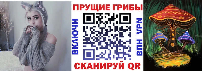 Галлюциногенные грибы ЛСД  Купить  Грязовец 